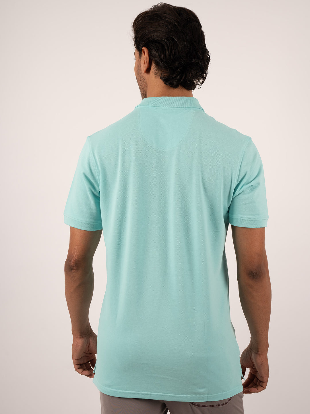Men's Regular Fit mint green polo t -shirt